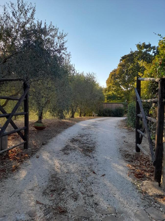8380 Il Tiglio Verde Manciano Bagian luar foto