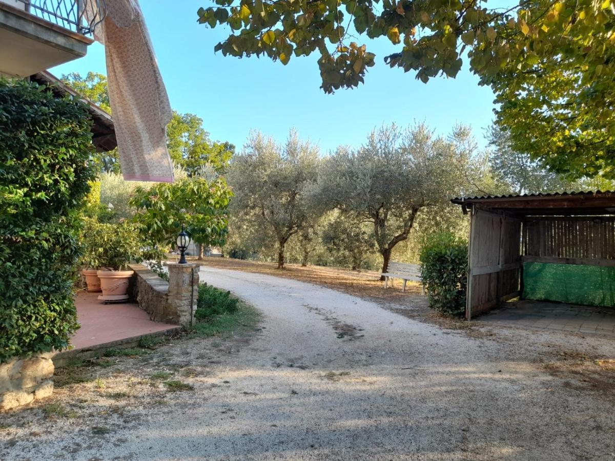 8380 Il Tiglio Verde Manciano Bagian luar foto