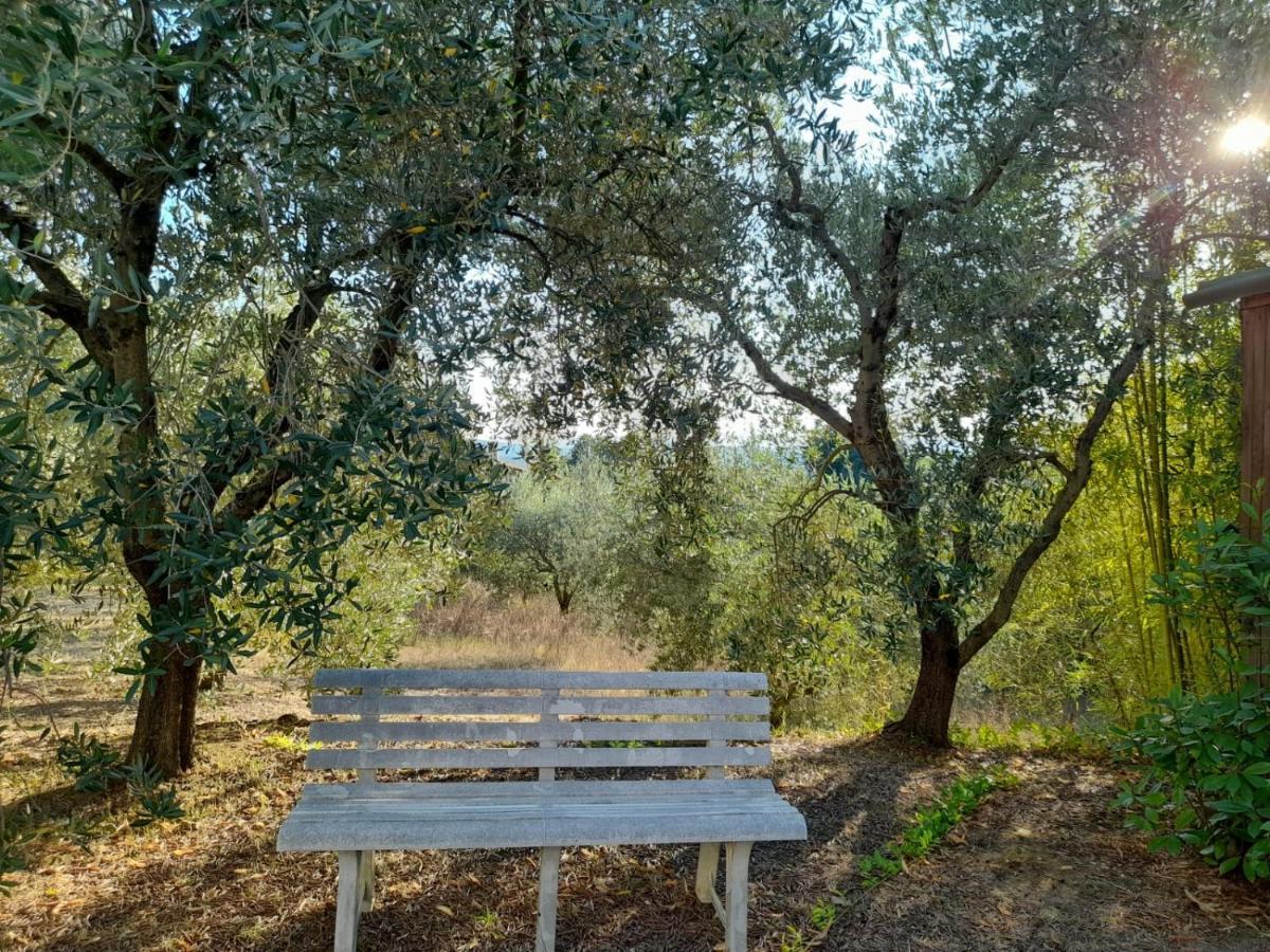 8380 Il Tiglio Verde Manciano Bagian luar foto