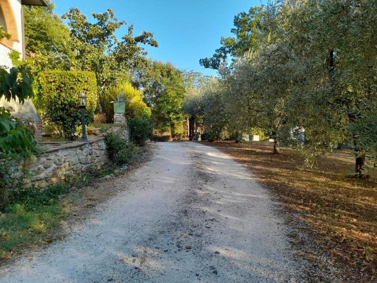 8380 Il Tiglio Verde Manciano Bagian luar foto